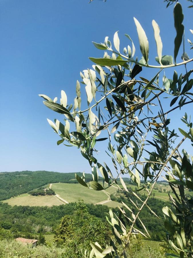 Mea Casa Toscana 卡斯特利纳－因基安蒂 外观 照片