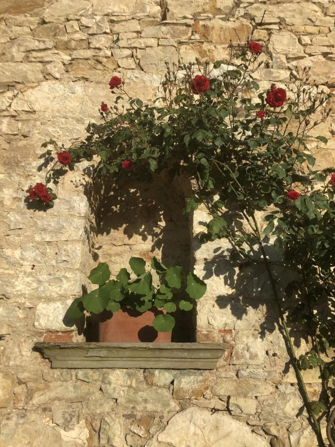 Mea Casa Toscana 卡斯特利纳－因基安蒂 外观 照片