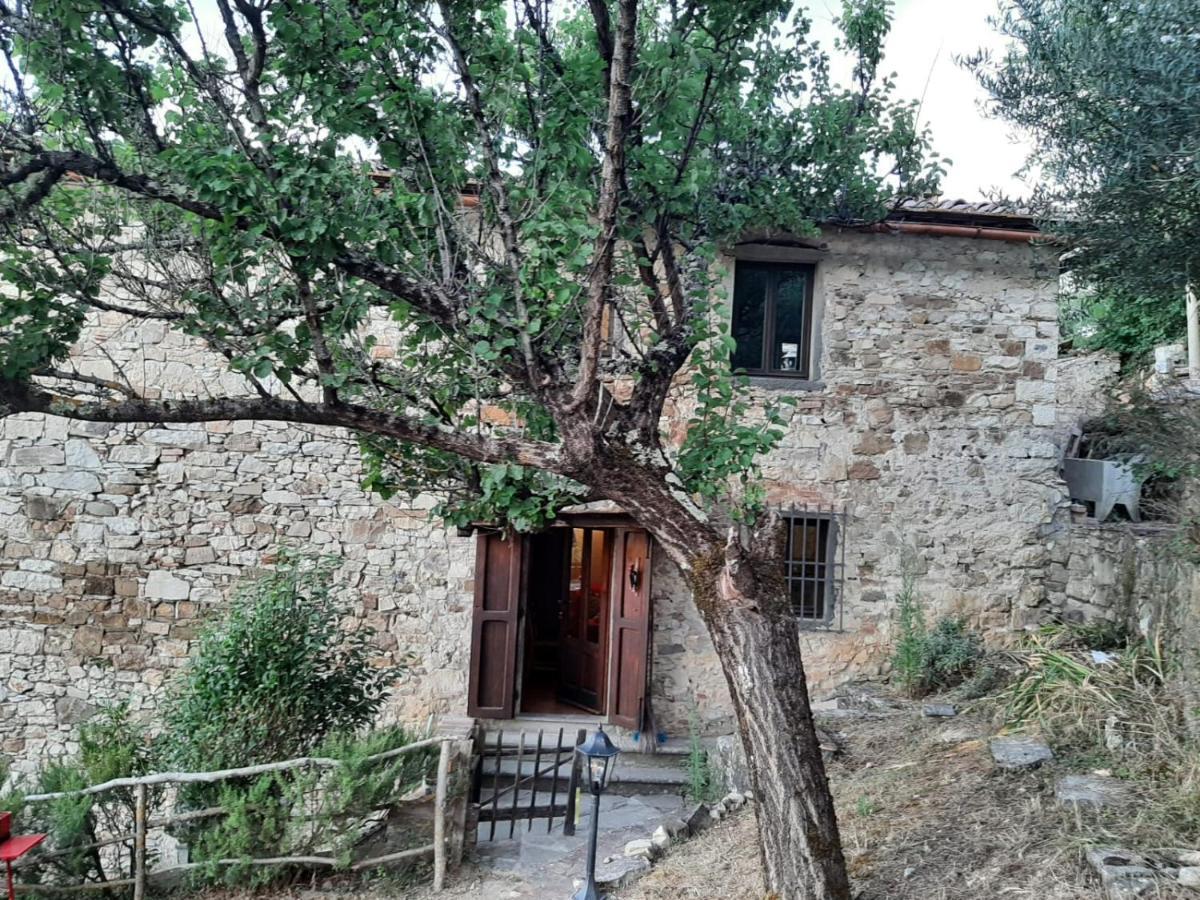 Mea Casa Toscana 卡斯特利纳－因基安蒂 外观 照片